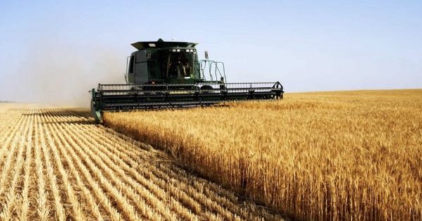 Земля сільськогосподарського призначення: як не втратити переважне право купівлі?